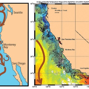 A Scientist at Sea: California Current Research Cruise (Part I)