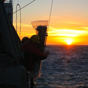 A Scientist at Sea: California Current Research Cruise (Part II)
