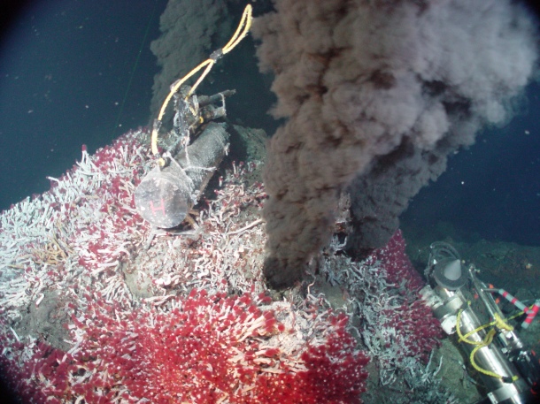 Tube worms crowd around a smoking hydrothermal vent. Photo from: http://geosciencebigpicture.files.wordpress.com/2013/03/noaa-hydrothermal-vent.jpg