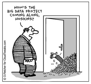 Too much big data